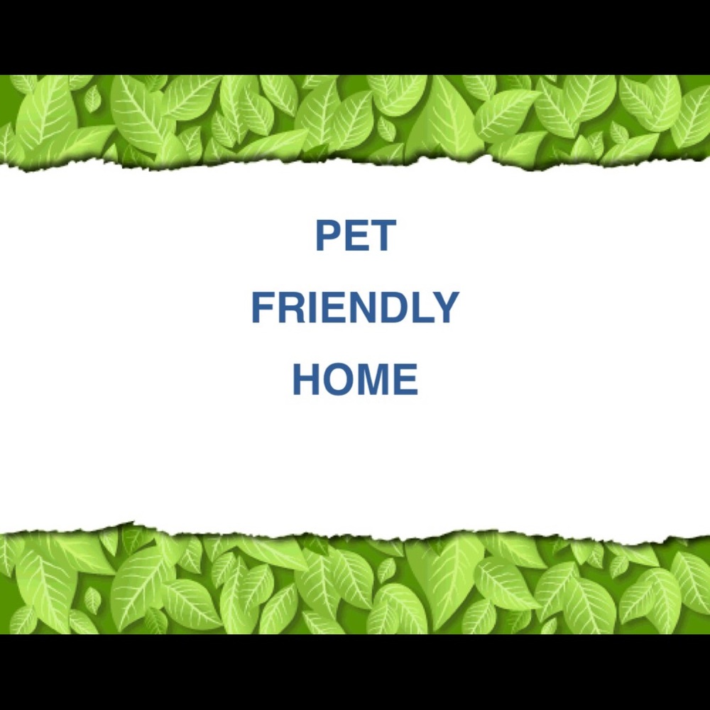Pet friendly home